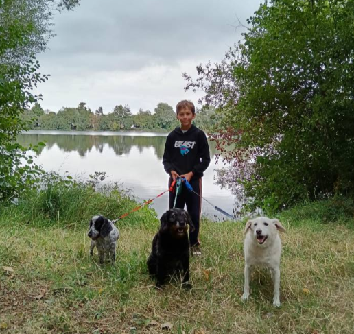 Boy walking with three dogs by a lake