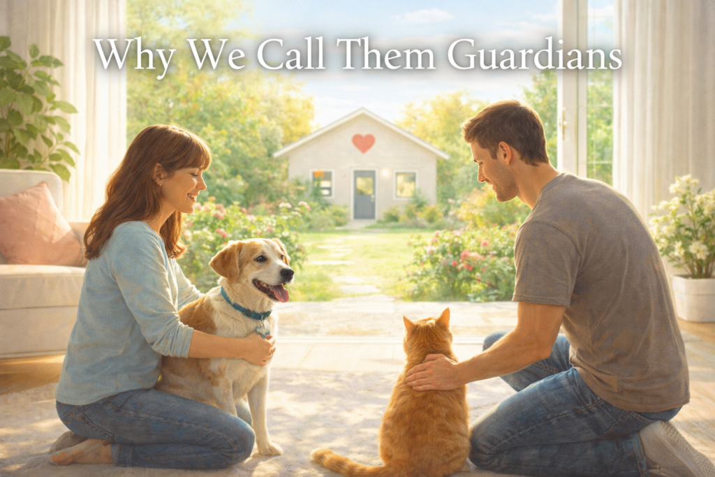 Two people gently caring for a dog and a cat inside a bright, welcoming home, representing guardianship, trust, and responsible in-home pet care.